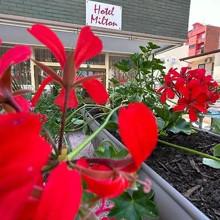 Milton Hotel Cesenatico