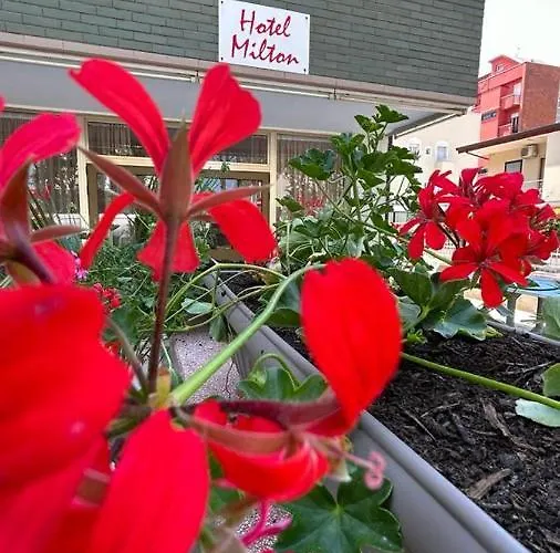 Milton Hotel Cesenatico